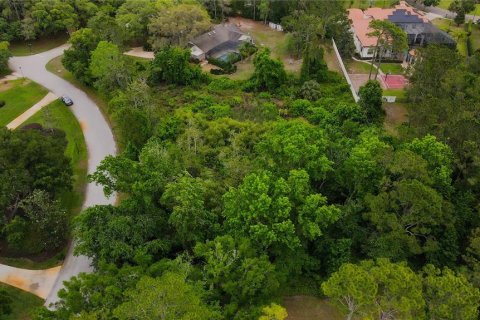 Terreno en venta en Lake Mary, Florida № 577863 - foto 4