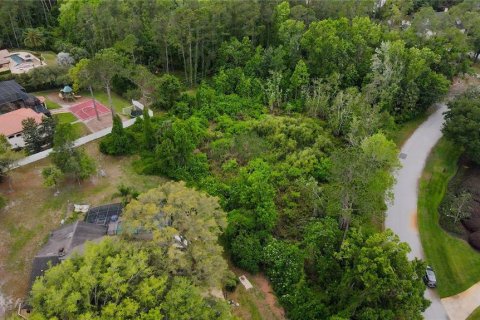 Terreno en venta en Lake Mary, Florida № 577863 - foto 10
