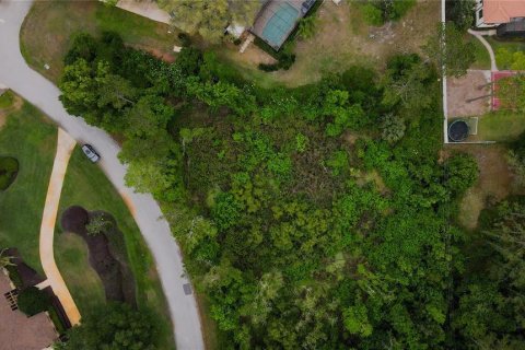 Terreno en venta en Lake Mary, Florida № 577863 - foto 18