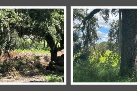 Land in Apopka, Florida № 1900556 - photo 1