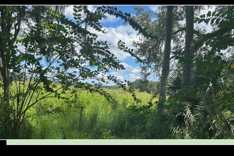 Land in Apopka, Florida № 1900556 - photo 2