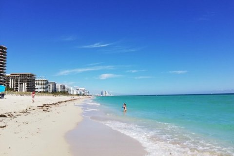 Снять в аренду кондоминиум в Майами-Бич, Флорида 36.23м2, № 2069443 - фото 3