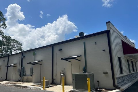 Immobilier commercial à louer à Newberry, Floride № 2330533 - photo 5