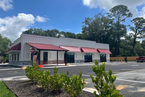 Immobilier commercial à louer à Newberry, Floride № 2330533 - photo 2