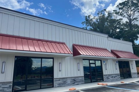 Immobilier commercial à Newberry, Floride № 2330533