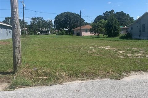 Land in Lake Wales, Florida № 2163481 - photo 3