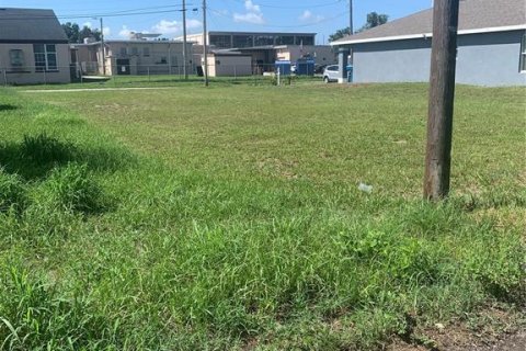 Land in Lake Wales, Florida № 2163481 - photo 5