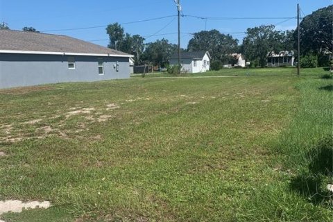 Land in Lake Wales, Florida № 2163481 - photo 2