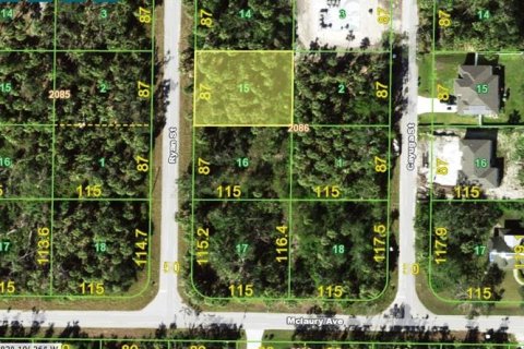Land in Port Charlotte, Florida № 2165298
