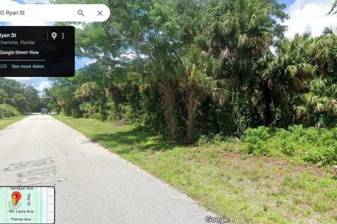 Land in Port Charlotte, Florida № 2165298 - photo 2