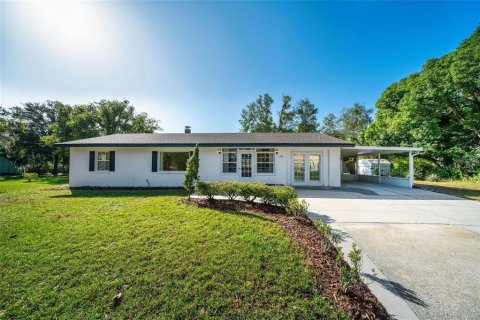 Casa en Mount Dora, Florida 3 dormitorios, 143.07 m2 № 2358241