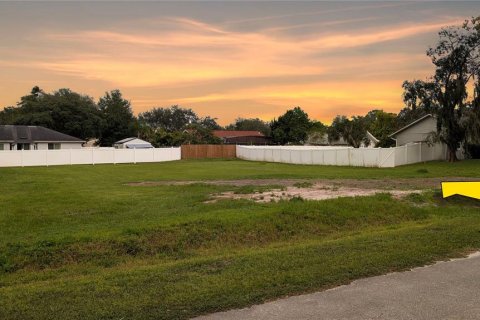 Купить земельный участок в Овьедо, Флорида № 1919895 - фото 2