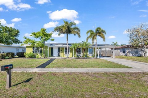 House in Port Charlotte, Florida 3 bedrooms, 116.69 sq.m. № 2113026