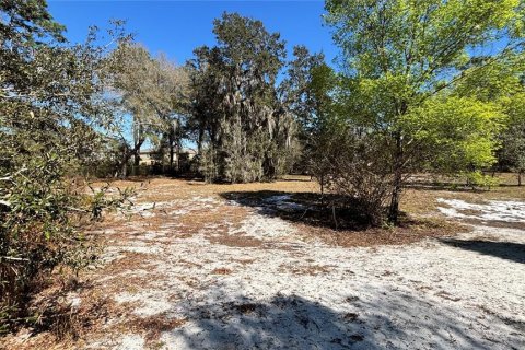 Terrain à vendre à DeLand, Floride № 2235157 - photo 6