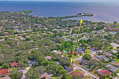 House in Tarpon Springs, Florida 4 bedrooms, 252.51 sq.m. № 1884573 - photo 4