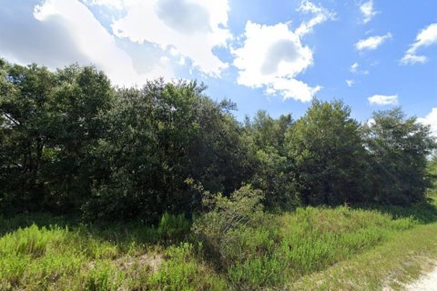 Land in Ocala, Florida № 2165551