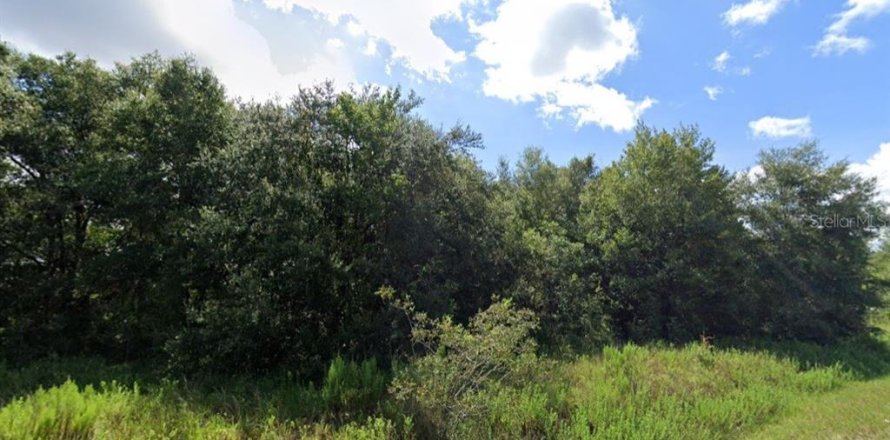 Land in Ocala, Florida № 2165551