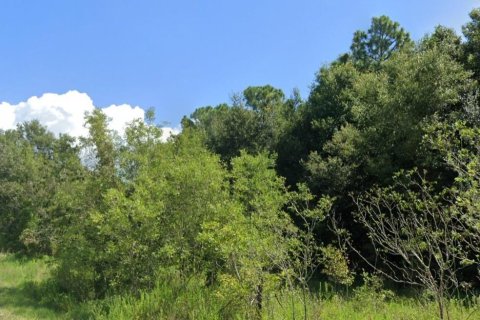 Land in Ocala, Florida № 2165551 - photo 3