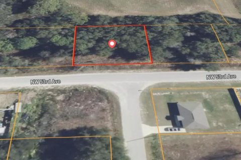 Land in Ocala, Florida № 2165551 - photo 2