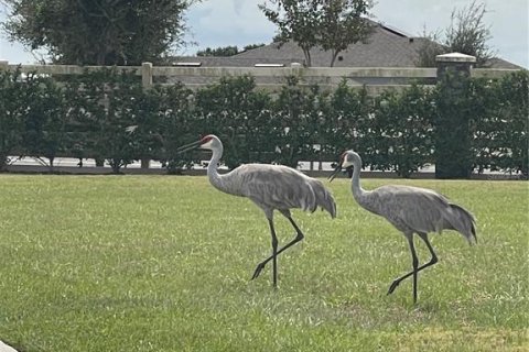 Villa ou maison à vendre à Lake Alfred, Floride: 3 chambres, 130.53 m2 № 2402822 - photo 4
