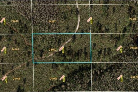 Land in Orlando, Florida № 2163555 - photo 2