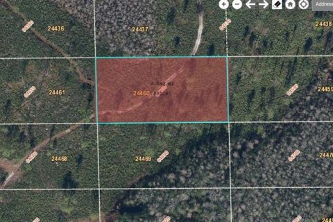 Land in Orlando, Florida № 2163555
