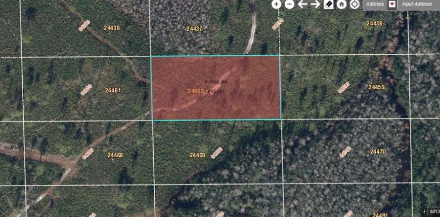 Land in Orlando, Florida № 2163555