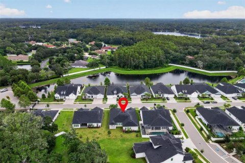 Villa ou maison à vendre à Odessa, Floride: 4 chambres, 300.63 m2 № 2408494 - photo 29