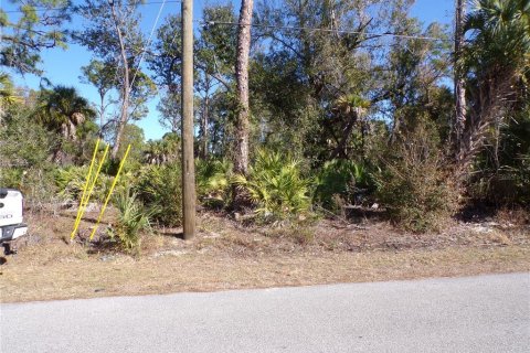 Land in North Port, Florida № 2161061 - photo 2