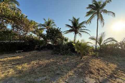 Terrain à vendre à Hollywood, Floride № 1999173 - photo 4