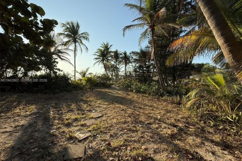Terrain à vendre à Hollywood, Floride № 1999173 - photo 9