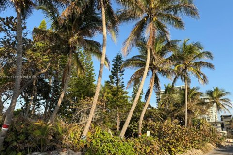 Terrain à vendre à Hollywood, Floride № 1999173 - photo 14