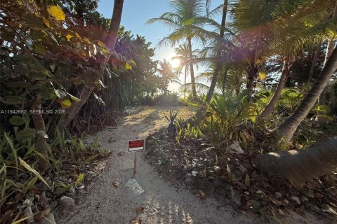 Terrain à vendre à Hollywood, Floride № 1999173 - photo 8