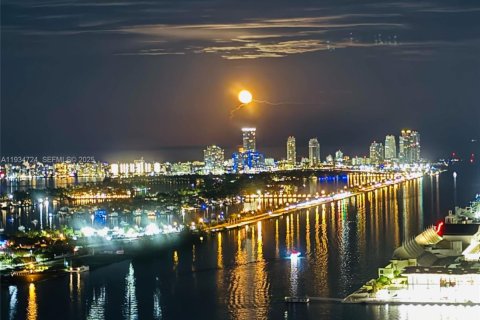 Condo in Miami, Florida, 1 bedroom  № 1994115 - photo 4