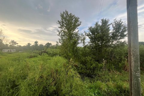 Propiedad comercial en venta en Okeechobee, Florida № 2158349 - foto 7