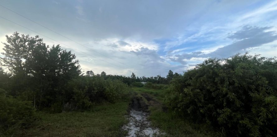 Propiedad comercial en Okeechobee, Florida № 2158349