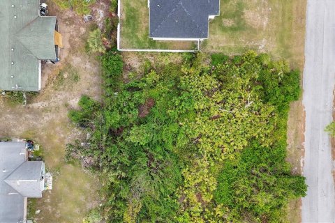Terreno en venta en Venice, Florida № 1554671 - foto 8