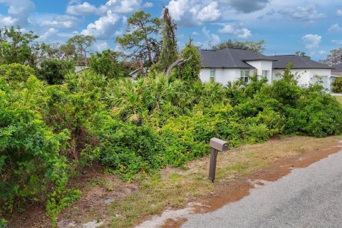 Terreno en venta en Venice, Florida № 1554671 - foto 6