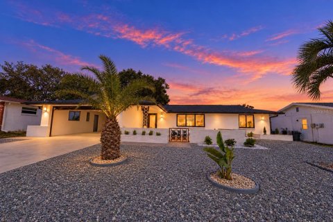 Villa ou maison à New Port Richey, Floride 3 chambres, 162.58 m2 № 2412656