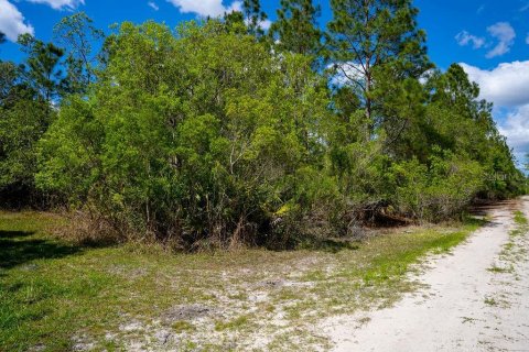 Terrain à vendre à Ormond Beach, Floride № 2098658 - photo 4