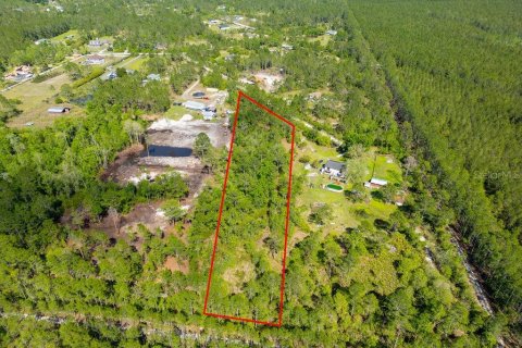 Terrain à Ormond Beach, Floride № 2098658