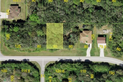 Land in Port Charlotte, Florida № 2163973