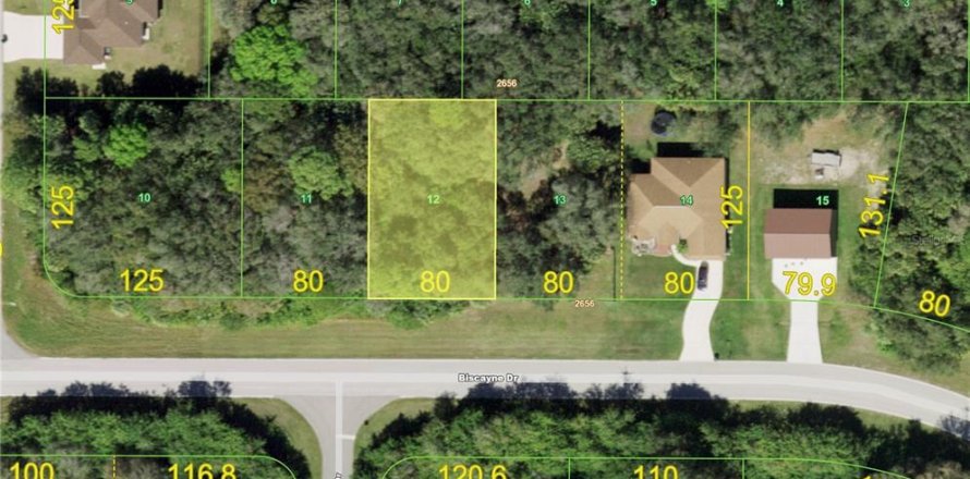 Land in Port Charlotte, Florida № 2163973