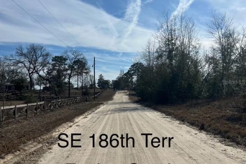 Land in Morriston, Florida № 1735084 - photo 2