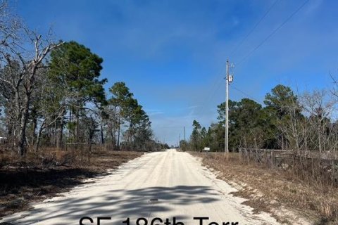 Land in Morriston, Florida № 1735084 - photo 1