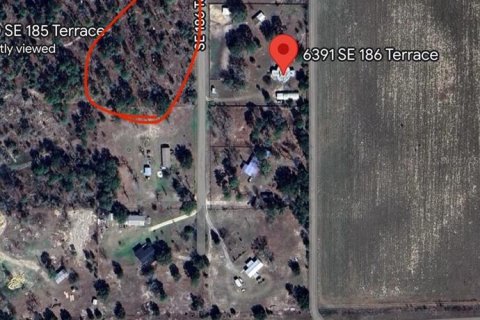 Land in Morriston, Florida № 1735084 - photo 4