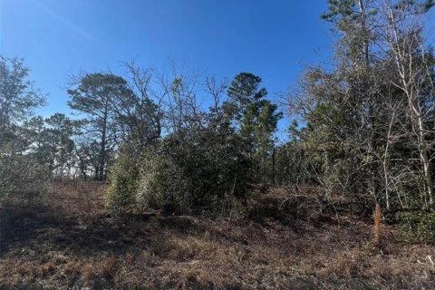 Land in Morriston, Florida № 1735084 - photo 3