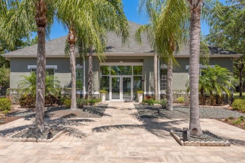 Condo in Palm Harbor, Florida, 2 bedrooms  № 1629889 - photo 19