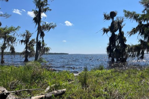 Land in Bunnell, Florida № 366272 - photo 12
