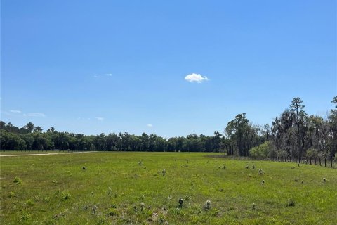Land in Bunnell, Florida № 366272 - photo 8